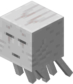 Package Name
