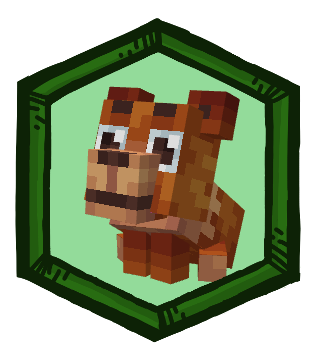 Playful Bear Pet image