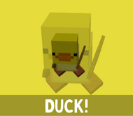 Click for more details