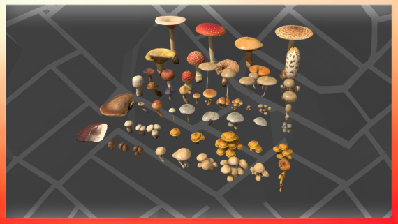 Mushroom Pack