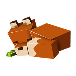 Package Name