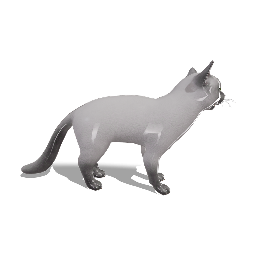 White Cat