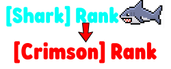 Rank Upgrades