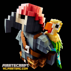 Pet Parrots
