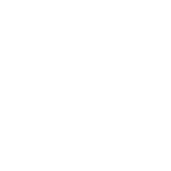 Global Server
