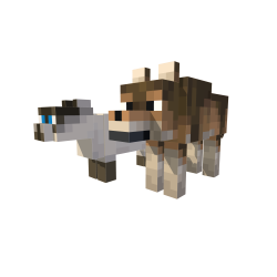 Mascotas