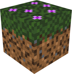 Survival