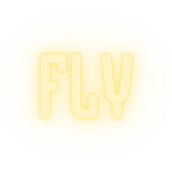 Fly