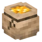 Coins