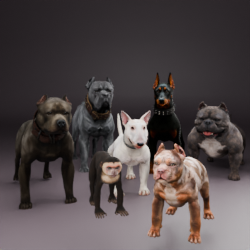 PETS