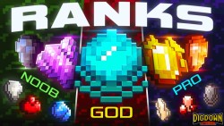 Premium Ranks