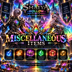 Miscellaneous Items