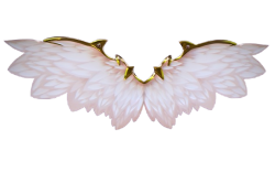 Wings & cosmetics