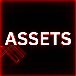 Assets 