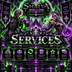 Services 