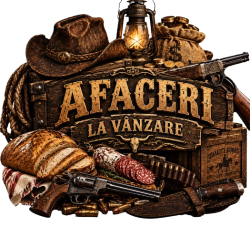 Afaceri 