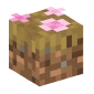 Claim Blocks