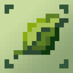 Ent