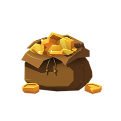 Gold Coin