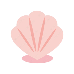 Shells