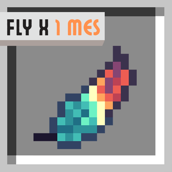 Fly x 1 mes