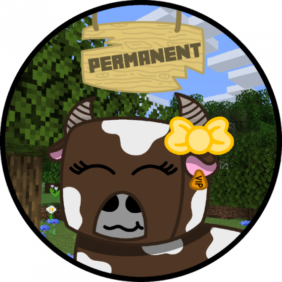 VIP [Permanent]