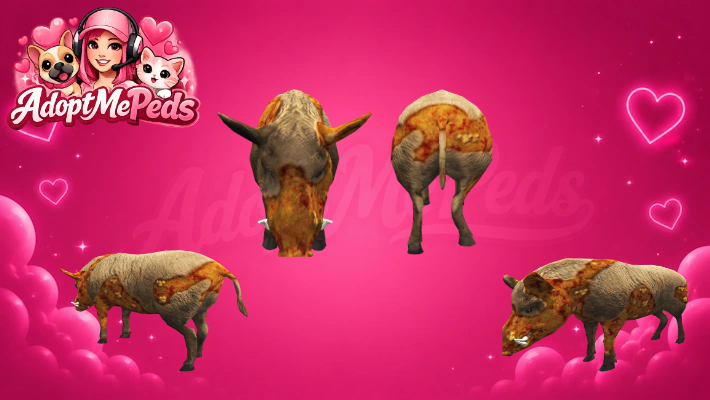 5 Infected Animals