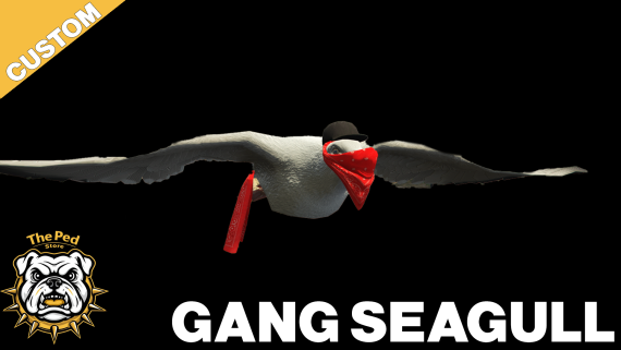 Seagull