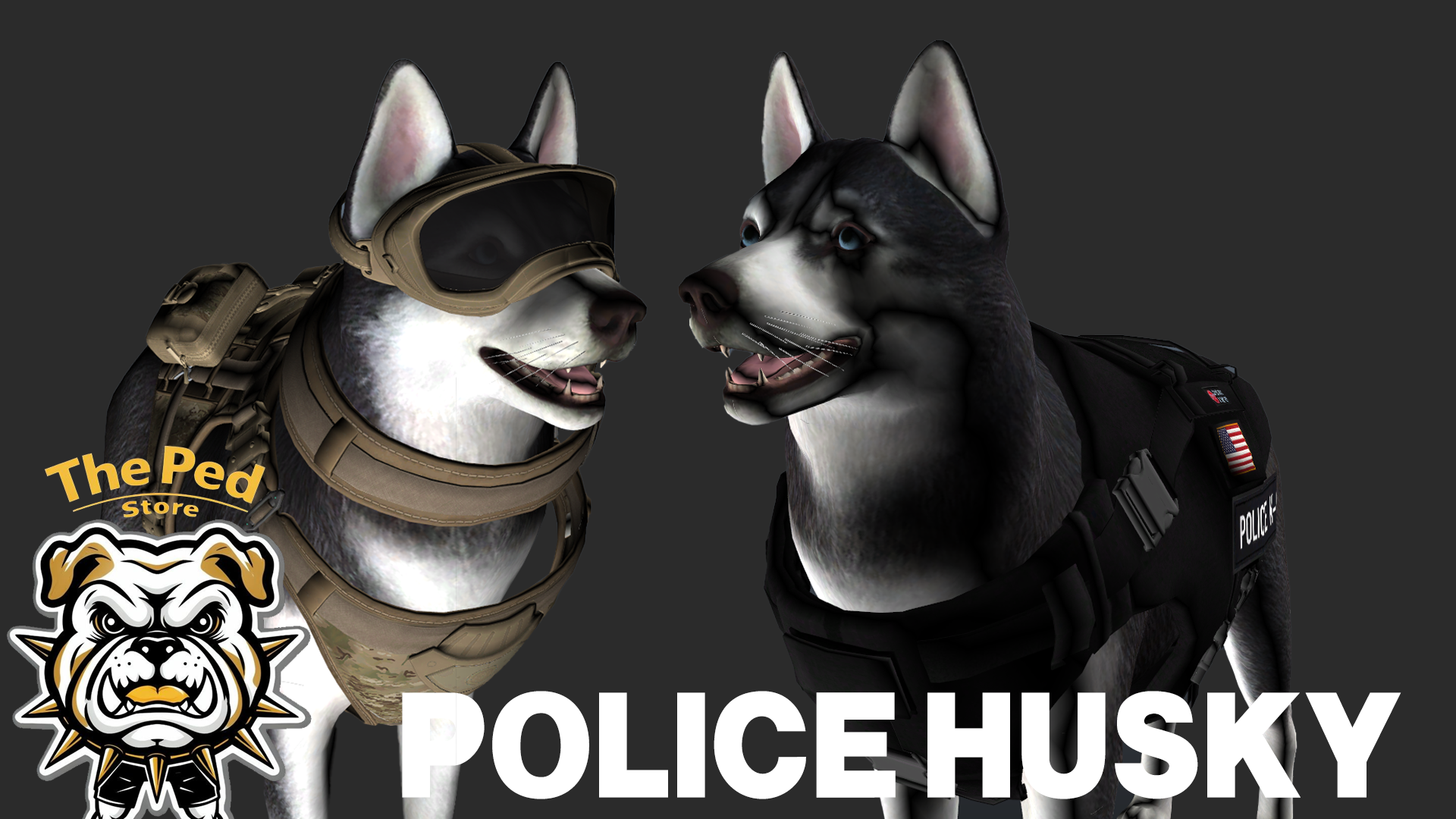 Police Husky