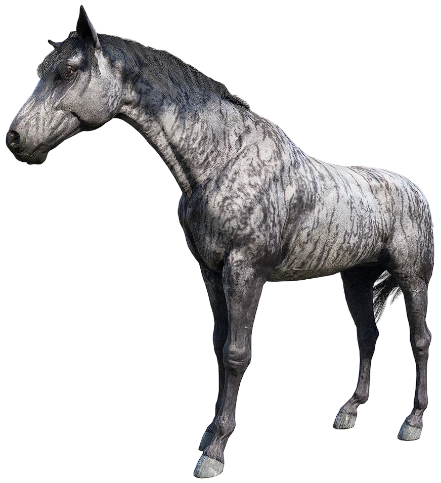 Brindle Thoroughbred
