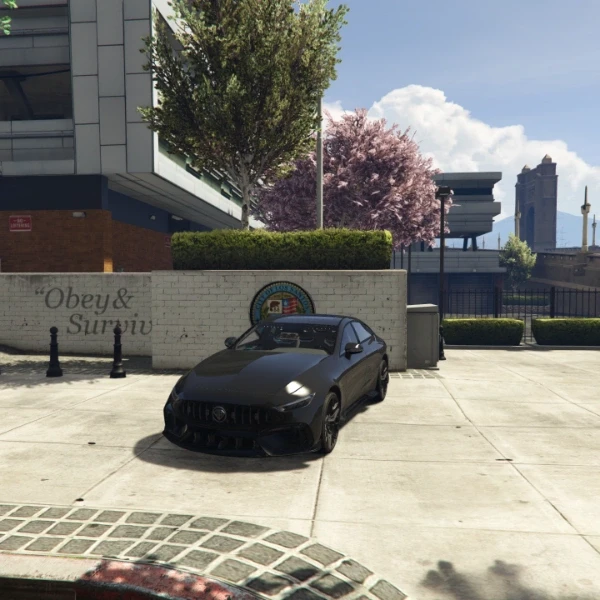 Police Apex GT