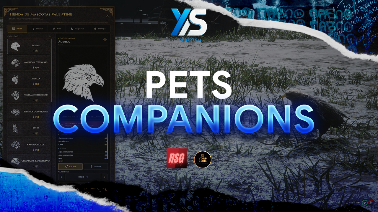 Pets - Companions