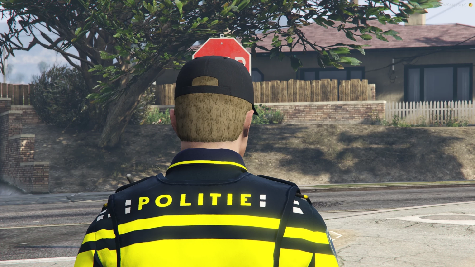 Politie Pet Nieuw! — afbeelding 3