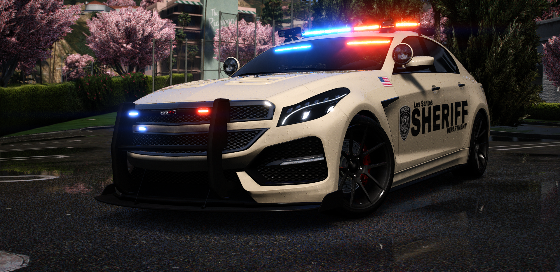 POLICE VSTR (VSTR)