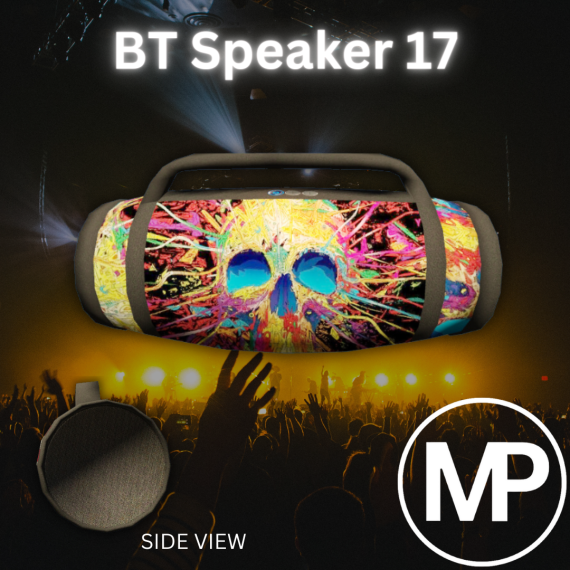 BT Speaker 17