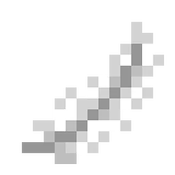 Fly Permanent