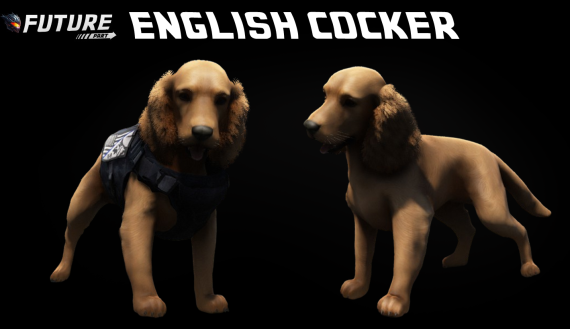 [DOG] English Cocker [K9]