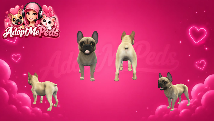French Bulldog Pug
