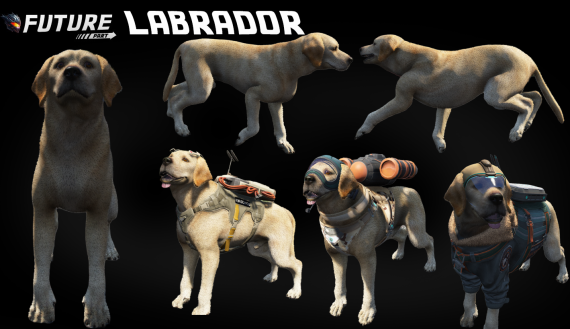 Future Store | Labrador Customizable