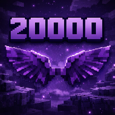 🪽20,000 FLY blocků