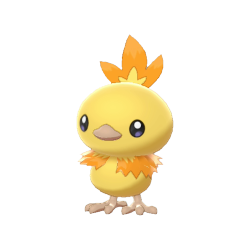 6 IV Shiny Torchic