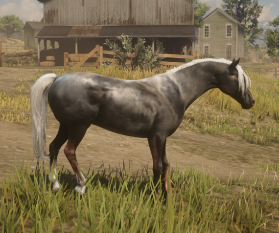 EXCLUSIVE 1of1 Horse Package (Open ticket PRIOR to purchase)