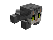 GrayCat