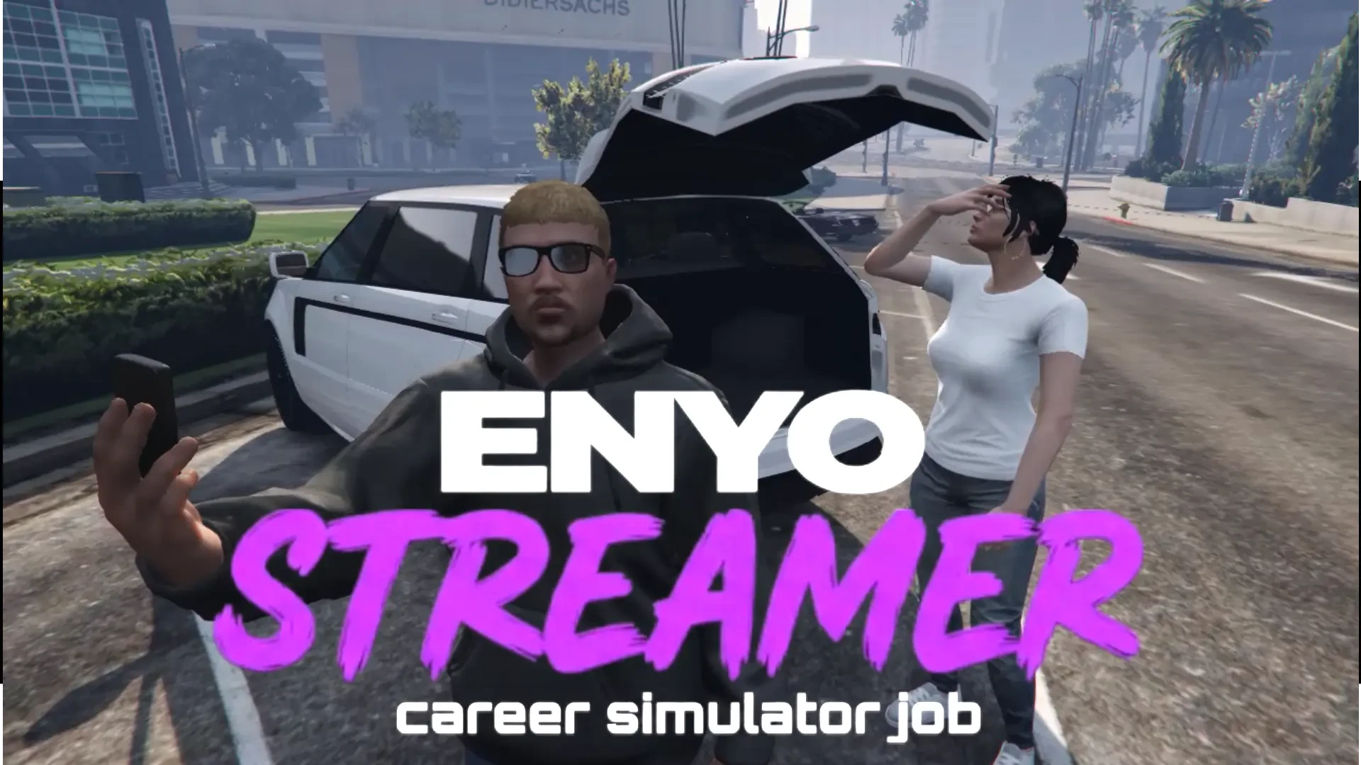 Streamer Career Simulator