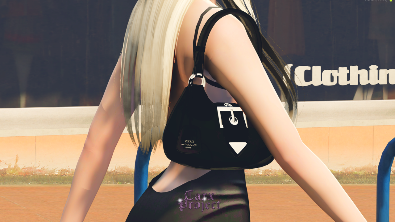 ✨👜Sho-Bag 👜✨