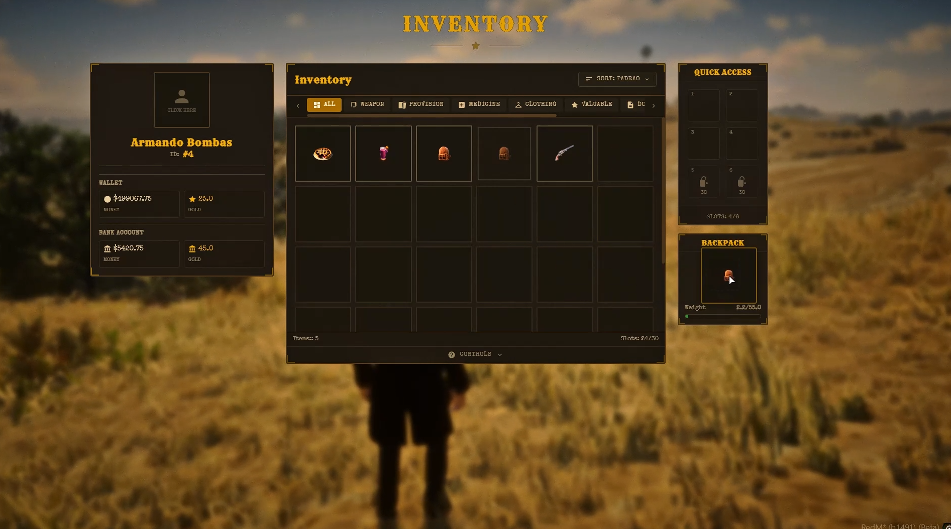 DnL - VORP Inventory | Remake