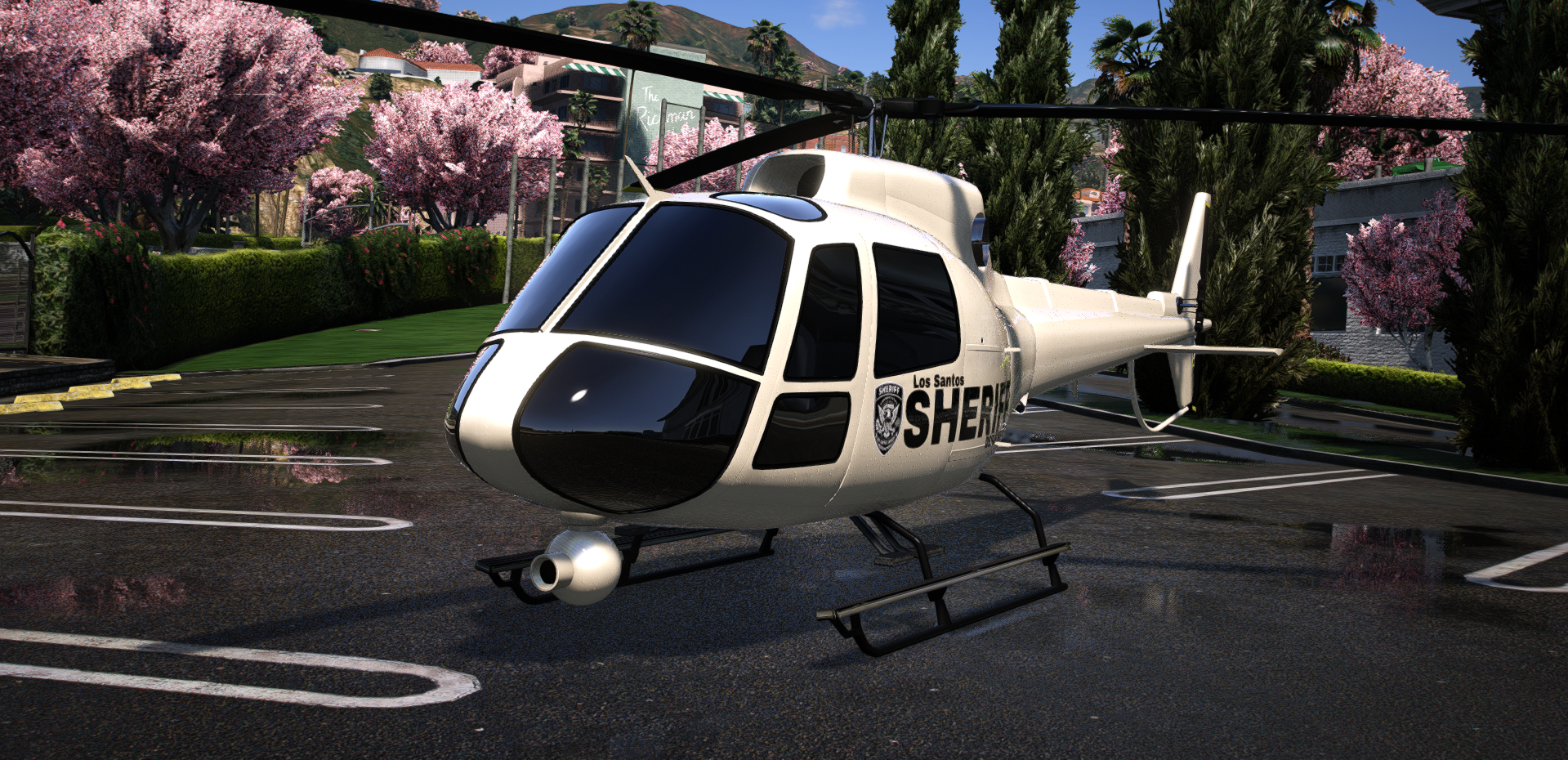 POLICE HELI (MAVERICK)
