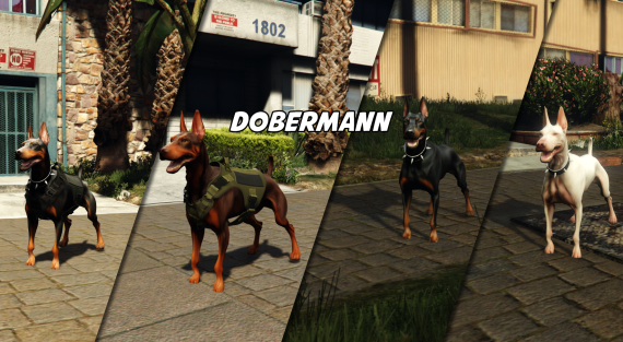 Dobermann (premium)