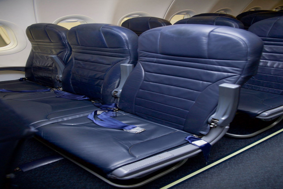 Main Cabin