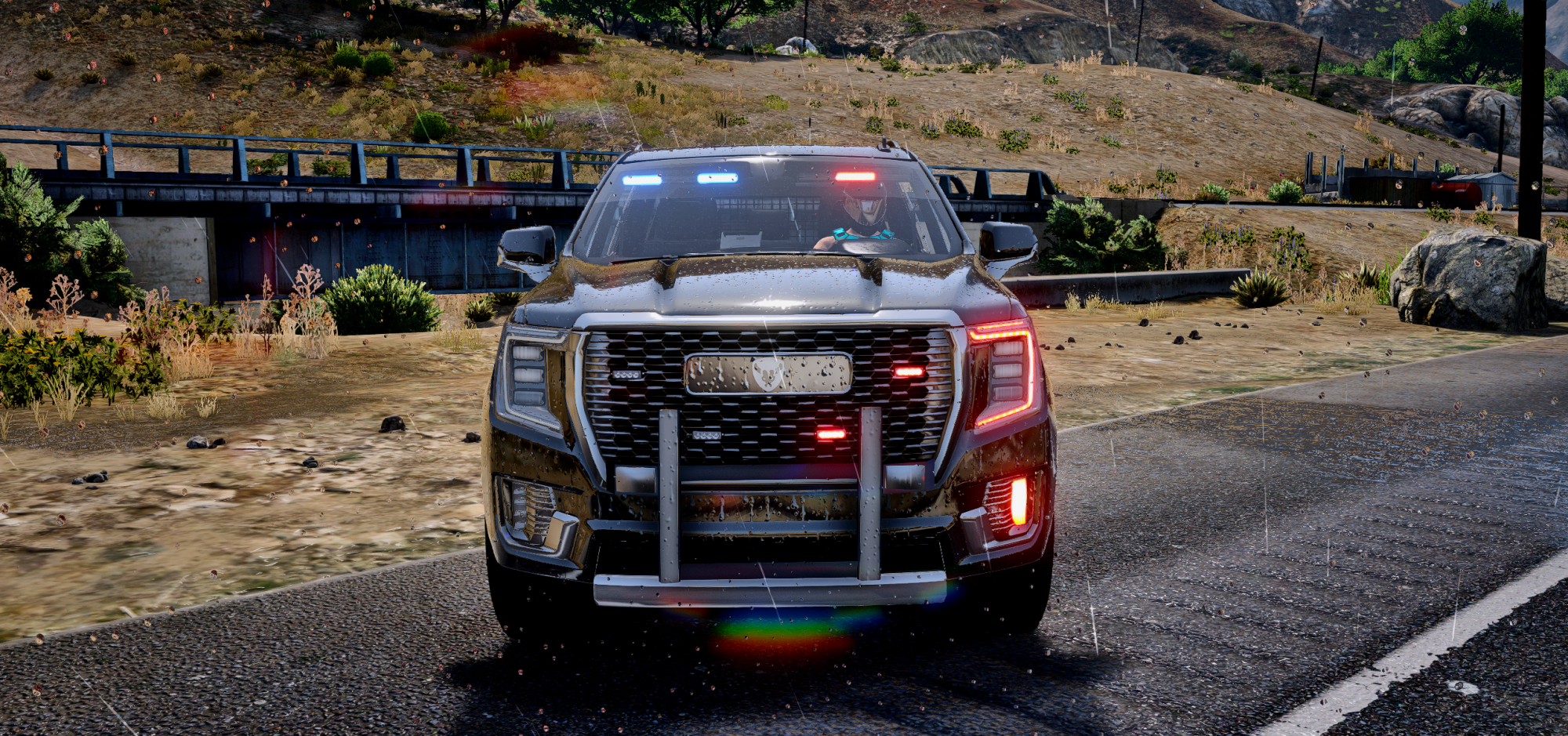 POLICE_3